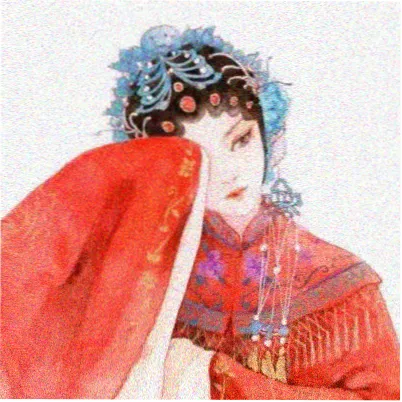 读者 苏青禾 的头像